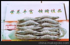 【南美對(duì)蝦(圖)】?jī)r(jià)格,廠家,圖片,蝦類,湛江市霞山區(qū)鑫昌水產(chǎn)品貿(mào)易-